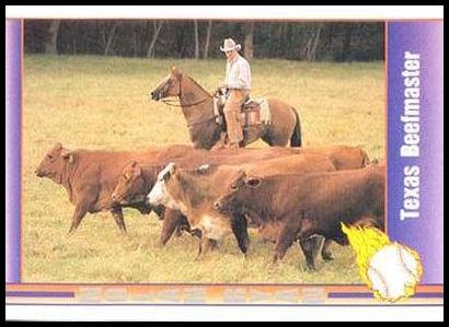 104 Texas Beefmaster